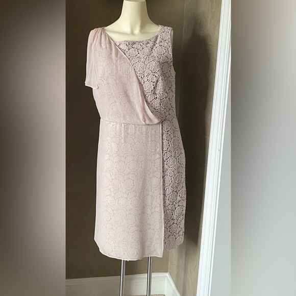 Ann Taylor Beige Knee Length Dress Lace With Partial Sheer Panel Women's Size 10 - Picture 1 of 14